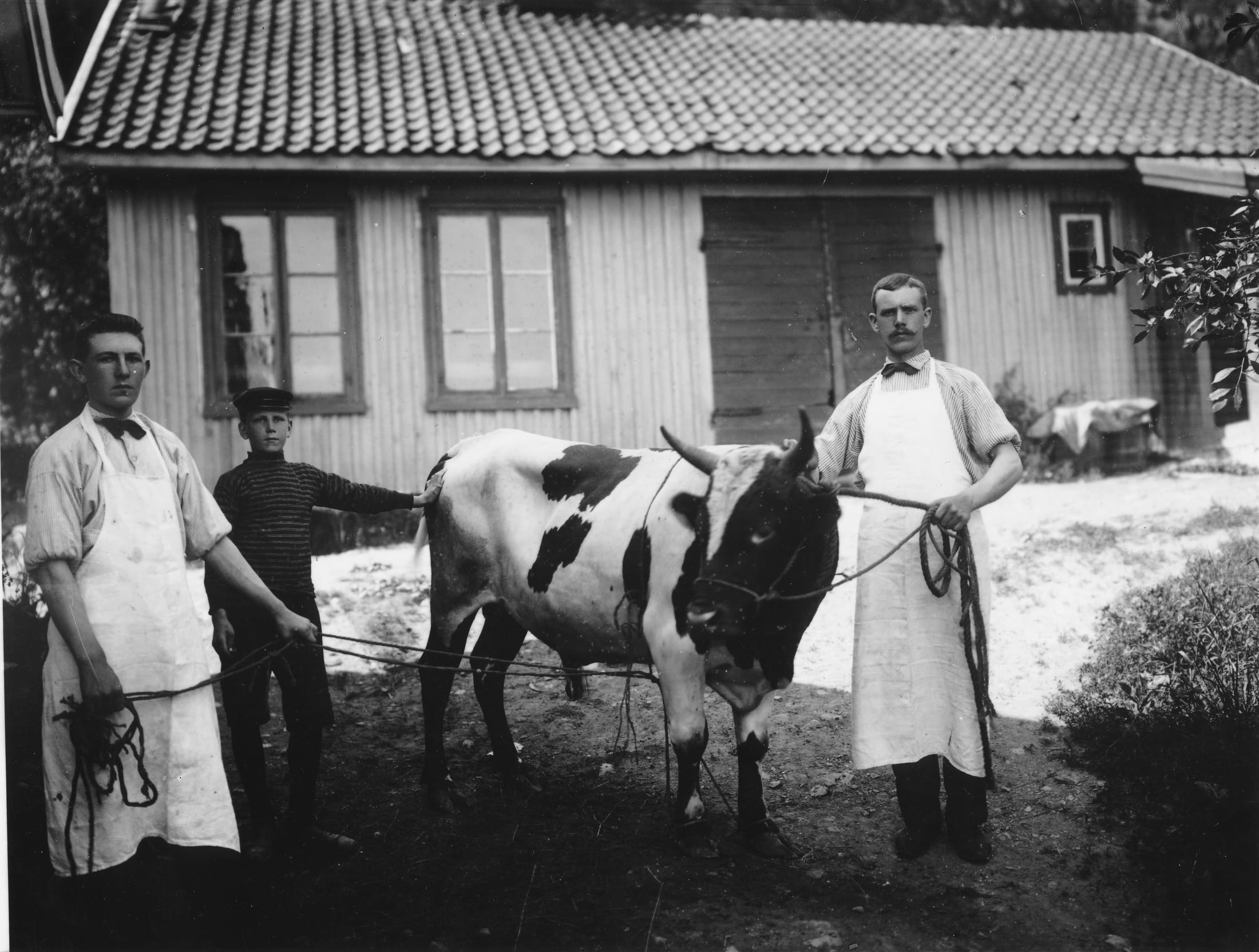 Slakter Frelumstad – original